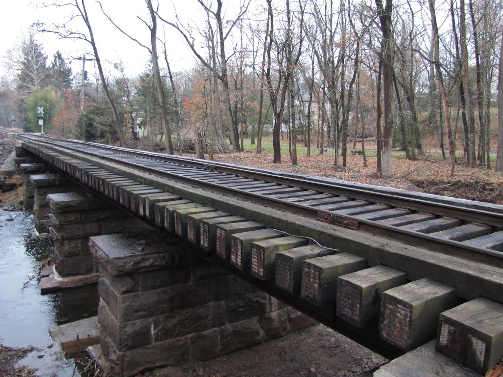 New Hope & Ivyland RR Bridge over Aquetong Creek by Chris Sanfino