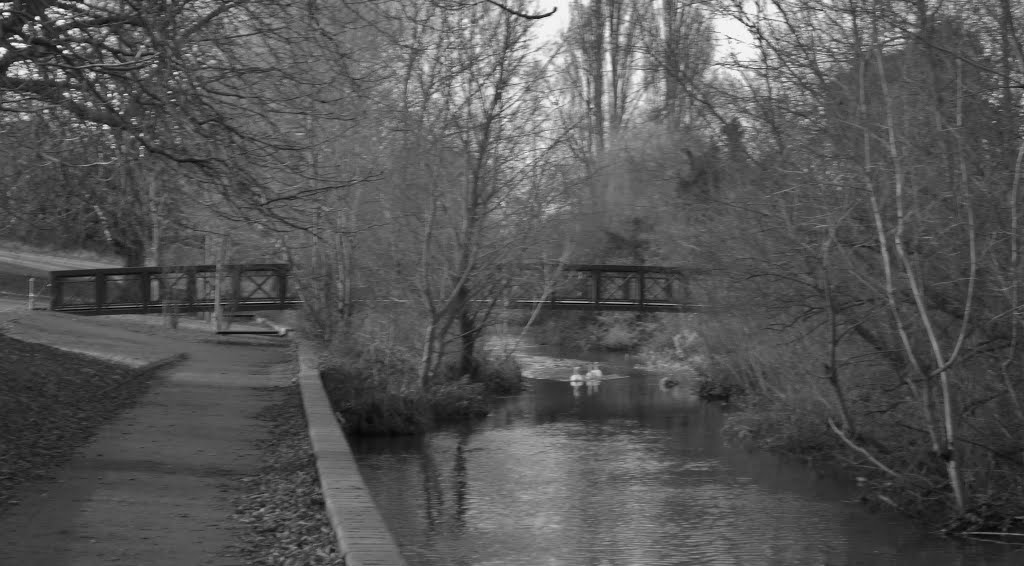 Bridge over the Colne in Oxhey Park by RobBobTun