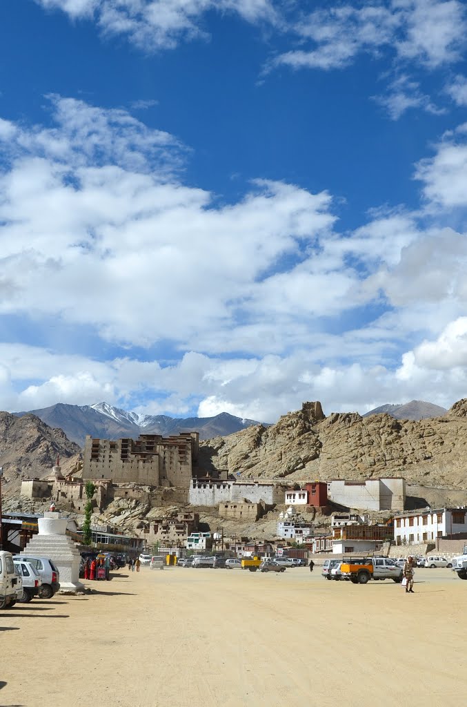 Inde.Le Ladakh.Leh.Vue sur le palais. by Nicole et Claude