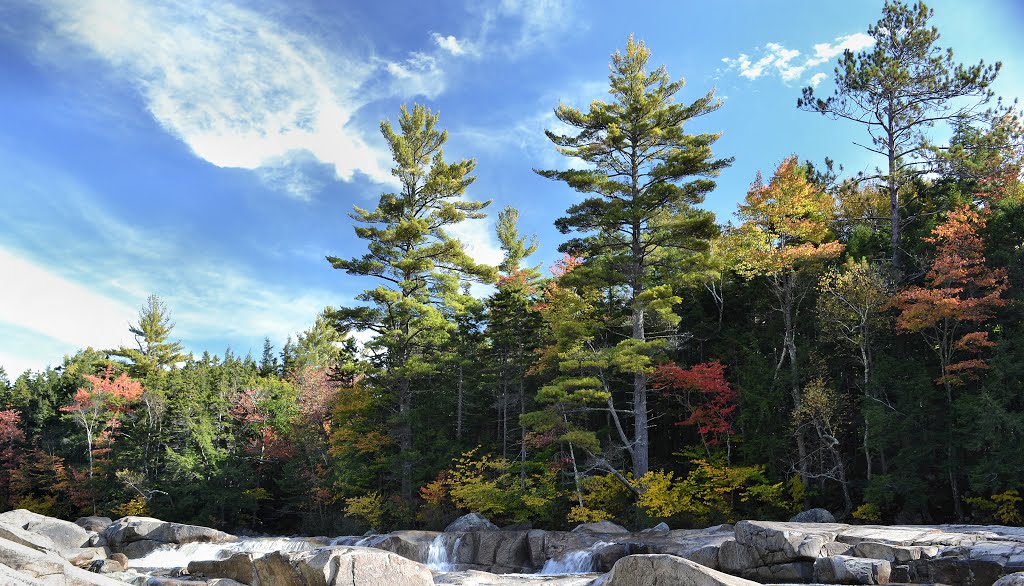 Kancamagus Highway Near falls Pond by colinthecat