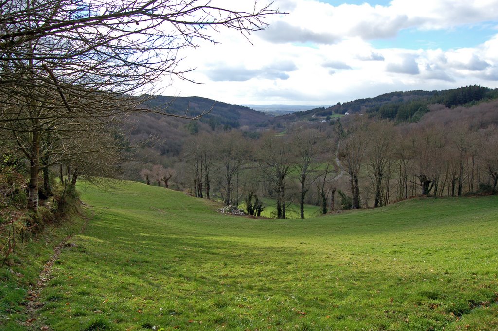 Nr. Santa Cruz, Lugo province by Colin Hughes