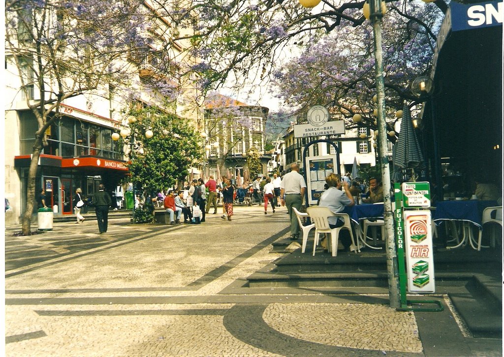 Funchal, Madeira by çetin çakır