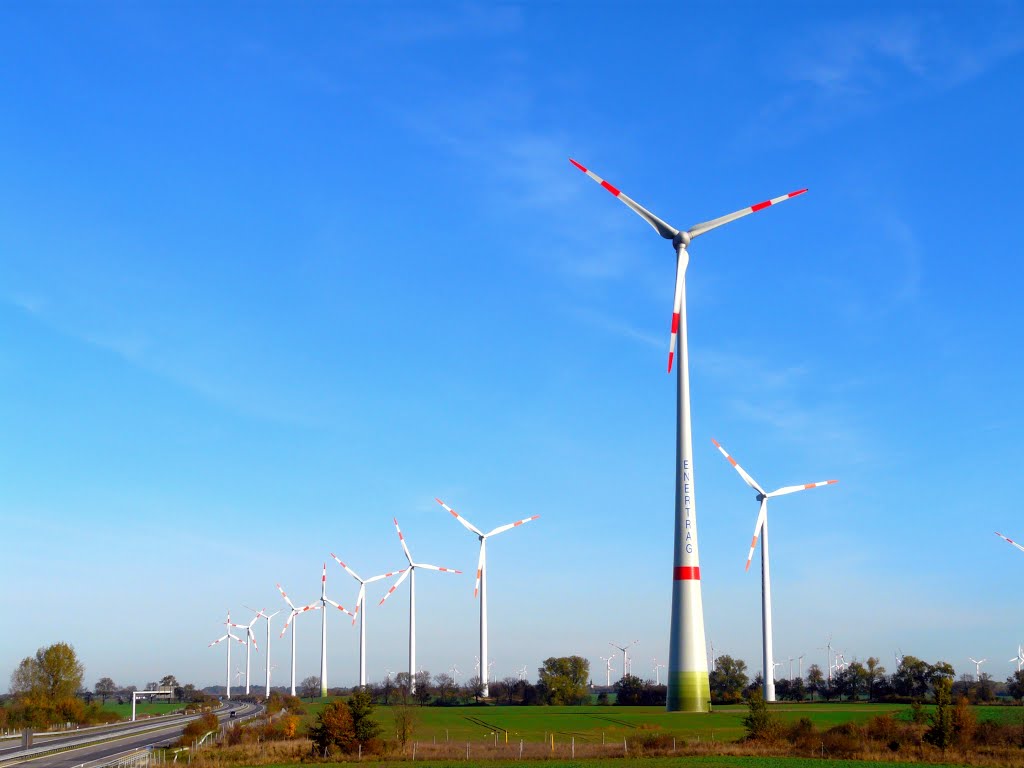 Germany_Brandenburg Country_Uckermark_a row of windmill generators on the highway No. 20_P1440645.JPG by George Charleston