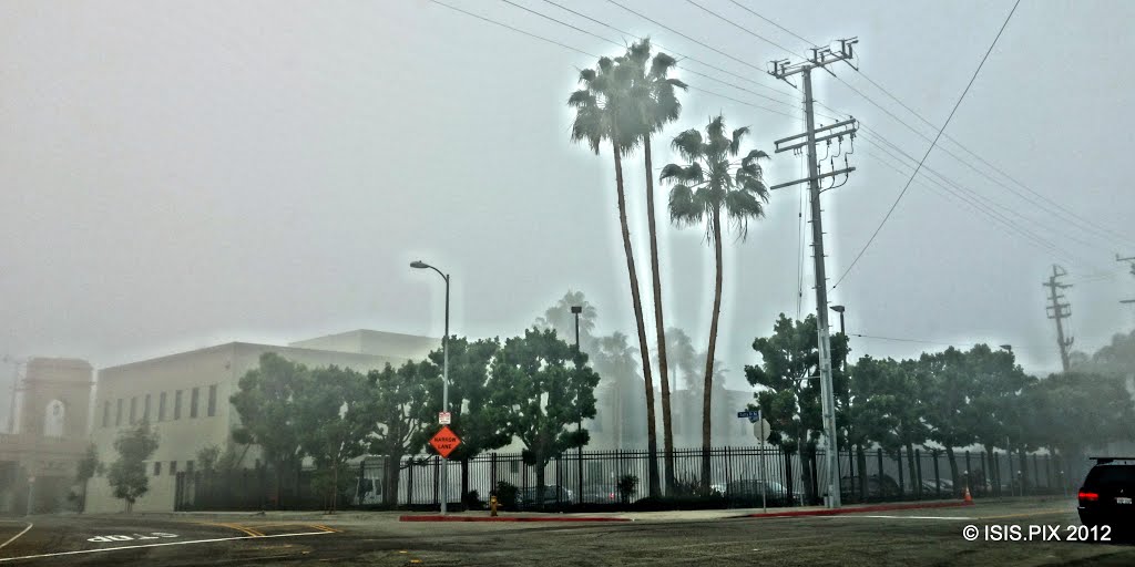 Fog on Center St. • Little Tokyo by Easy Street Images ©