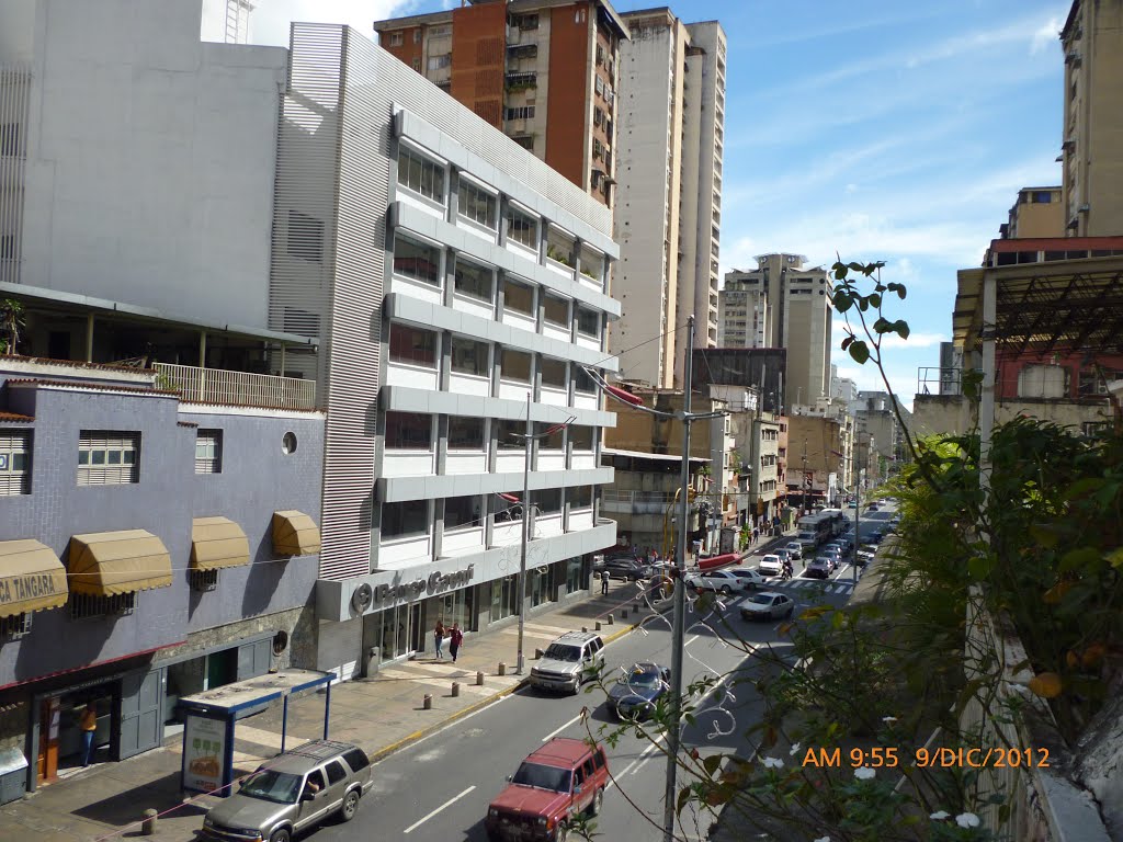 Av. Universidad, Caracas. 2012 by Oscar Jesus Medina Dacosta