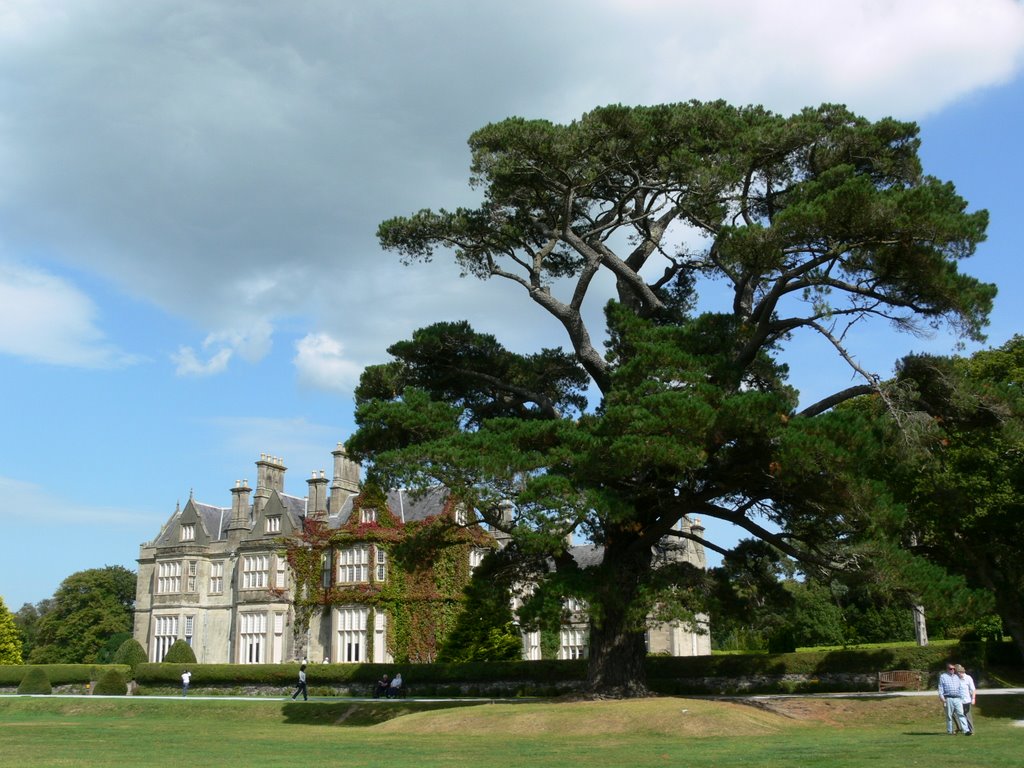 Killarney - Muckross house by Federico Bigazzi