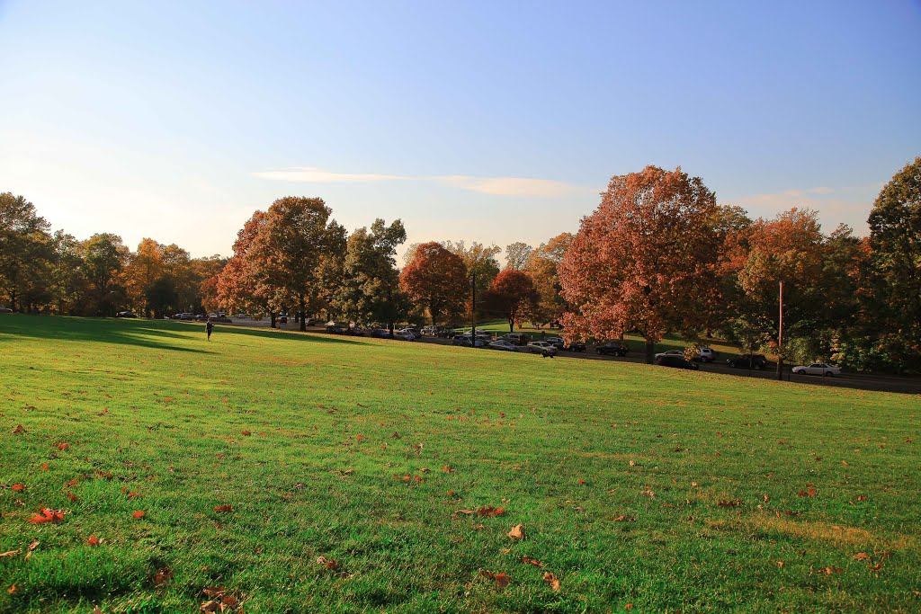 Meadow in Schenley Park by jingchensun