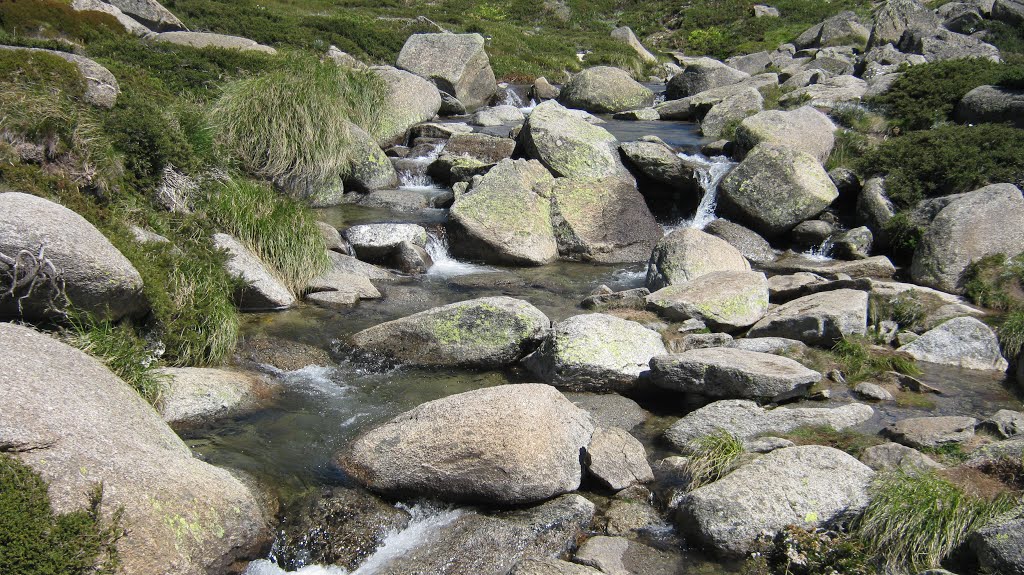 Snowy River by Lucas Chamberlain