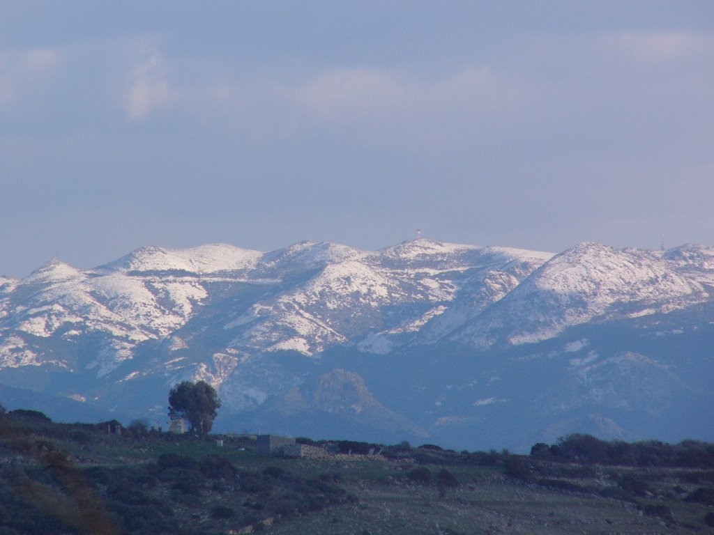 Monti di Cuglieri - NEVE by Luigi Tedde (www.jertix.org) - Magomadas - Sa