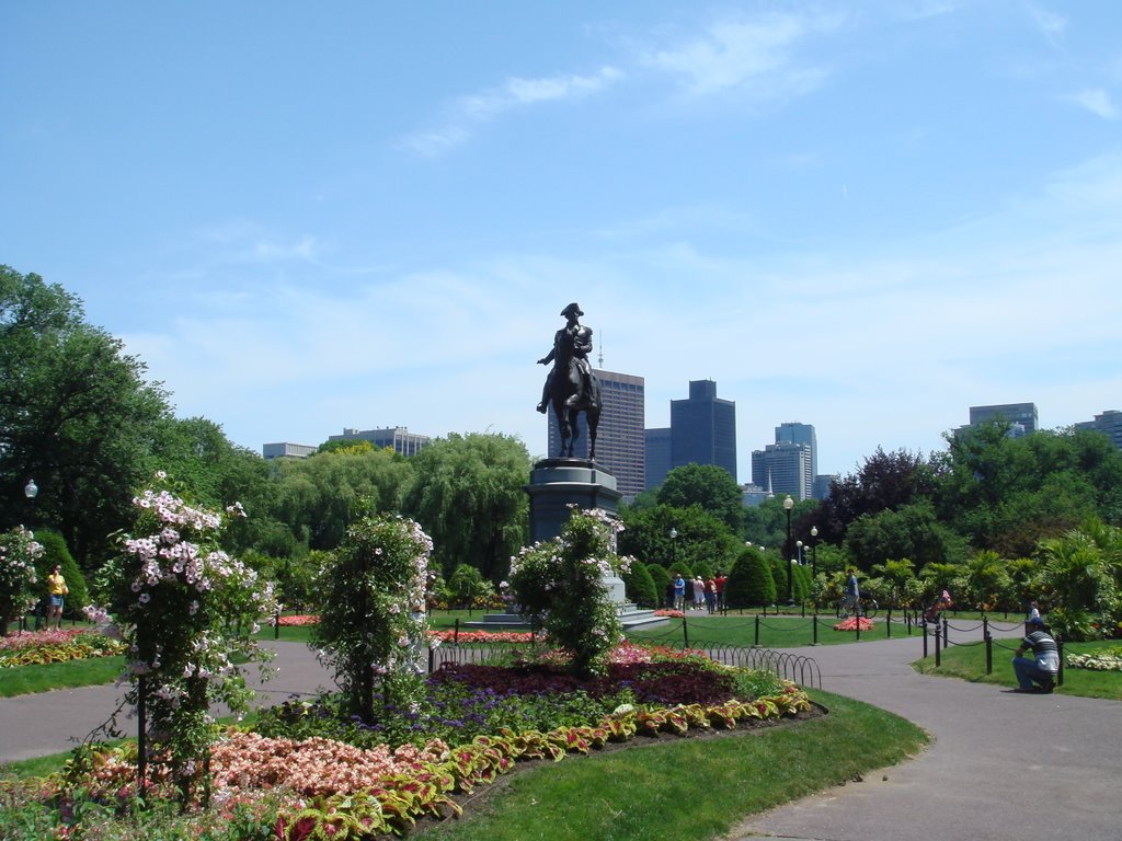 Public Garden, Boston MA by SusaDTS