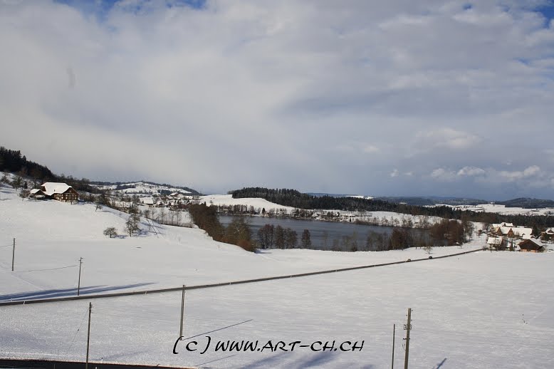 Buholz, Soppensee by PaDö