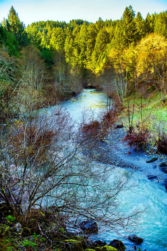 Chezem Road - Redwood Creek_DSC3025 by Larry Butcher