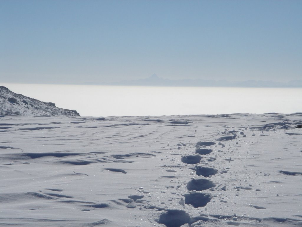 Tracce nella neve 2...e Monviso - 17-02-08 by simo75