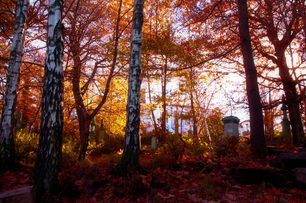 Plot 20 down by the back gate Woodside Cemetery paisley scotland by Kingdavidofscotland