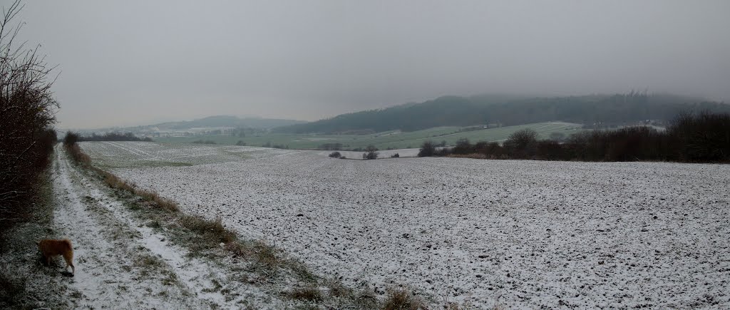 Panoráma u Všechovic - 4.12.2012 by Robin - psí turista