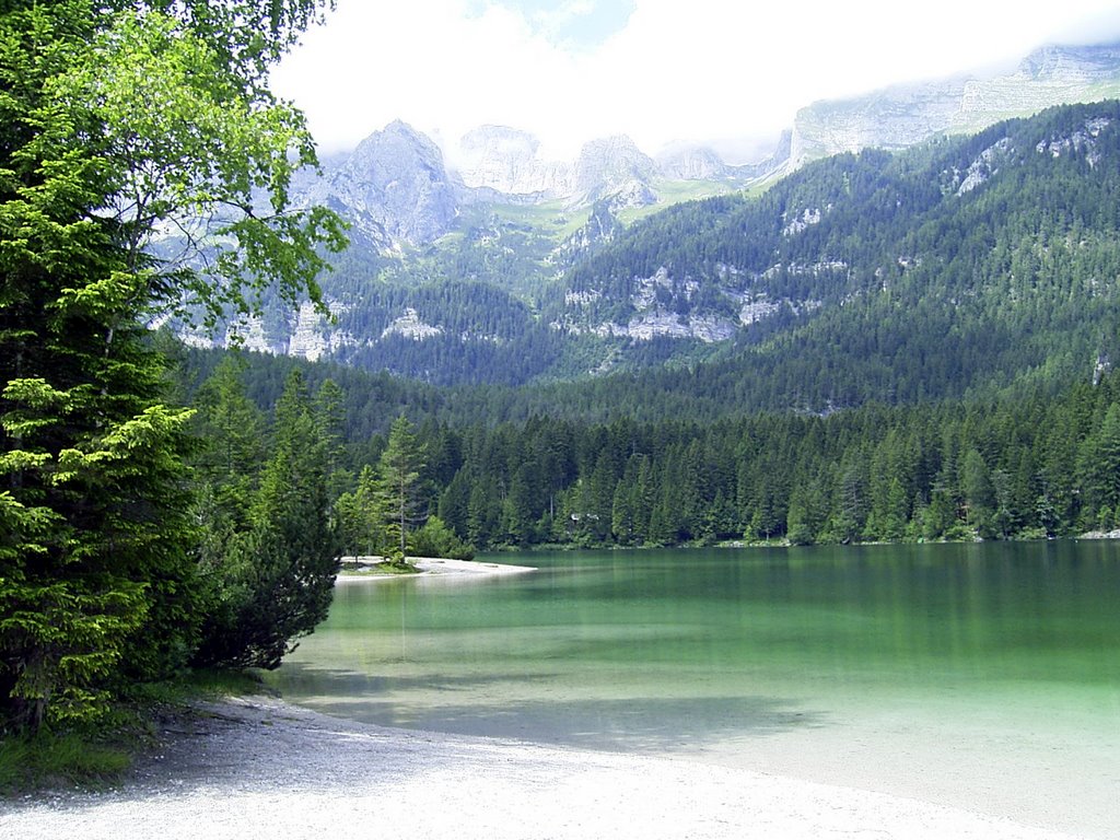 Lago di Tovel by Gaetano Vallini