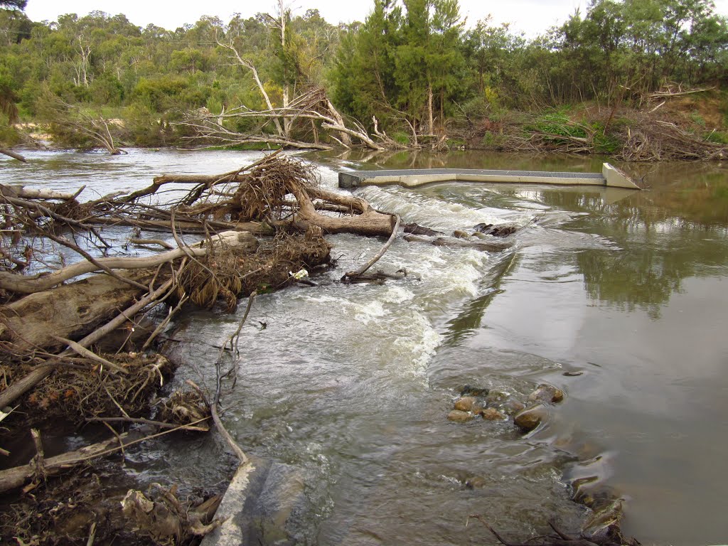 Paddys River near Cotter, ACT by Jason Boyd