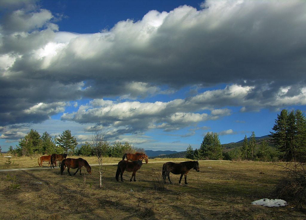 Near Batak by nnnadia