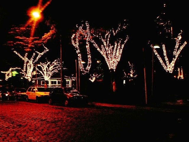 Centro de Turismo de Nova Friburgo - iluminação de natal by galliard