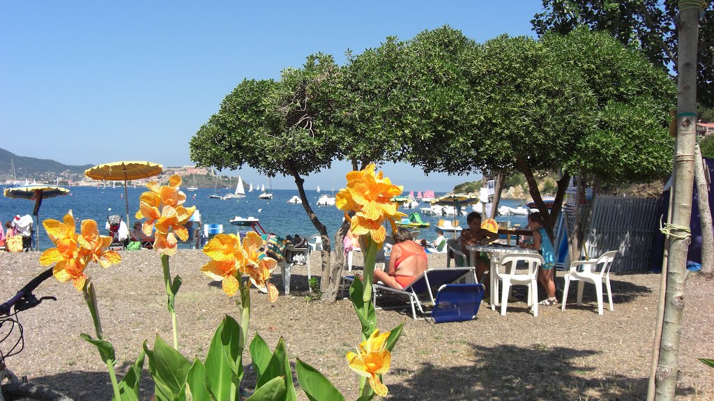 Mare spiaggia e fiori by filiberto.filippini