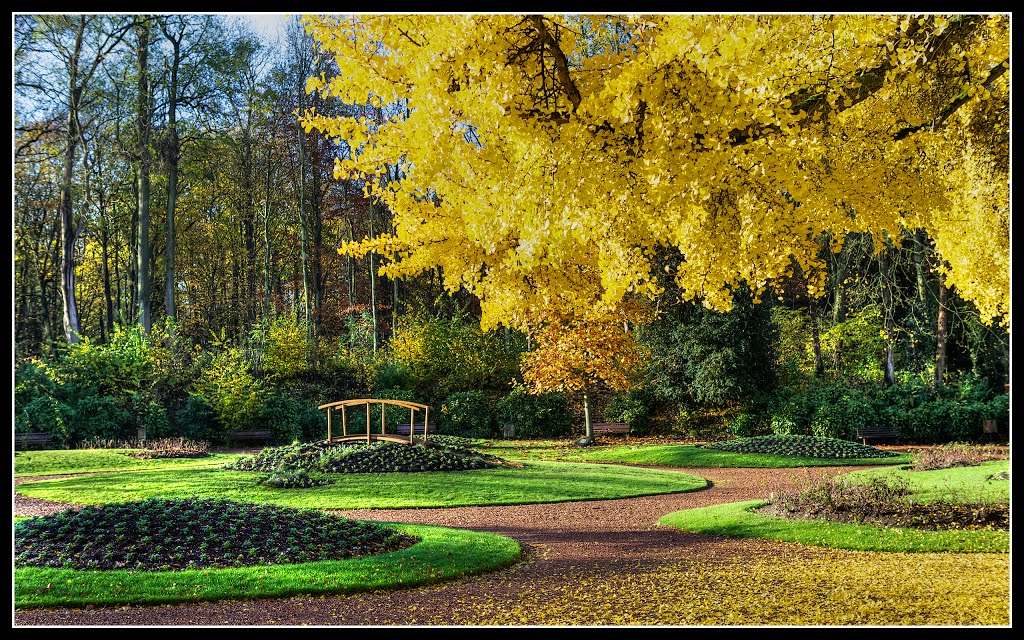 Saint-Omer - Jardin d'automne by Eric POTEAU