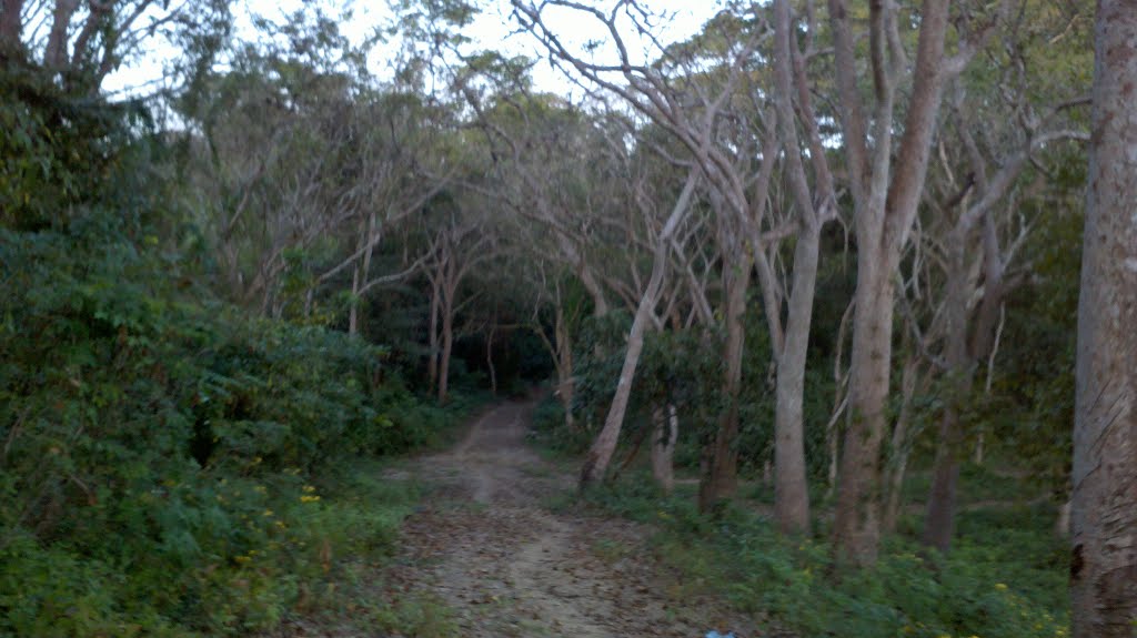 Sendero Pozo de Caracolí by afterone007