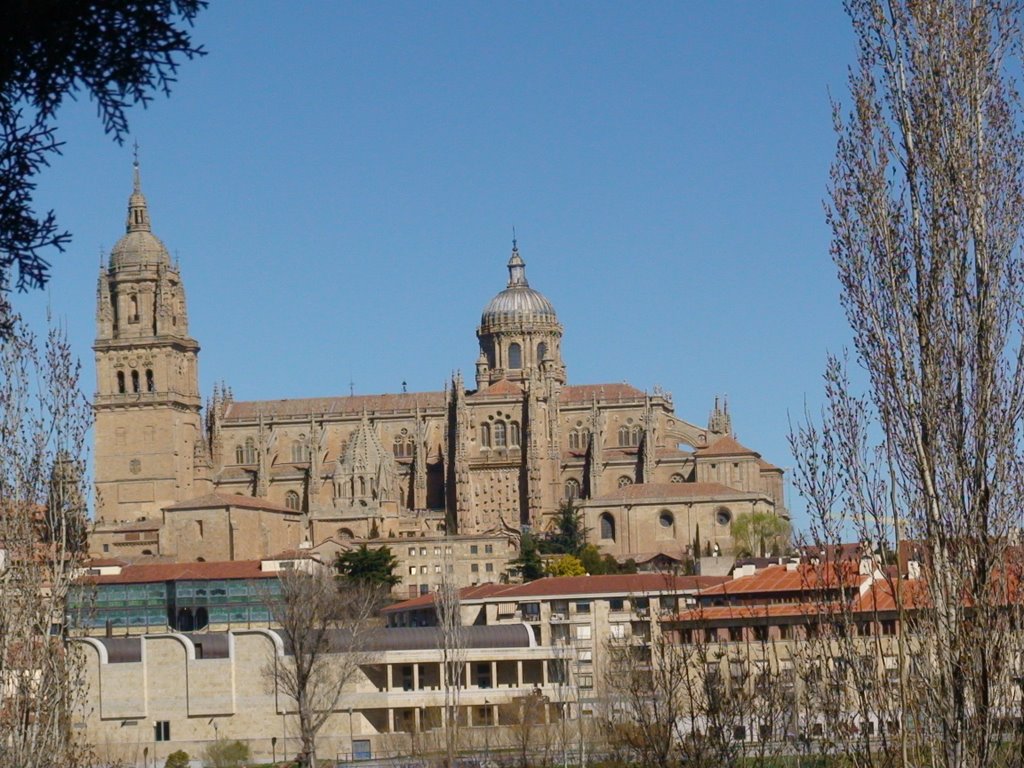 Spain...Salamanca by Raymond Grelet