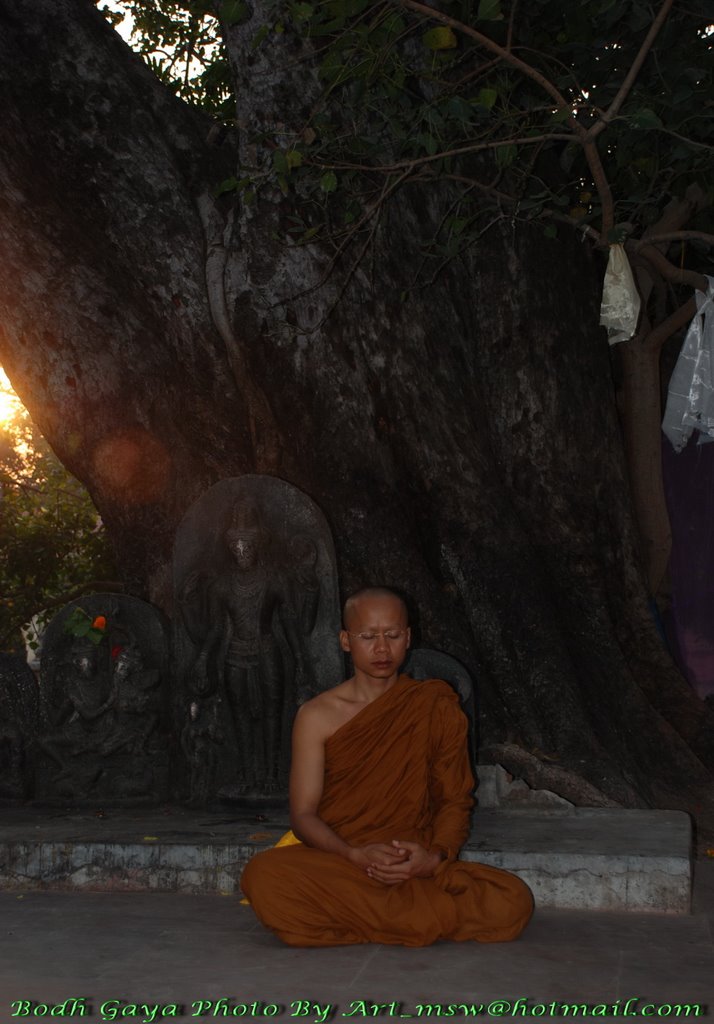 Bodh Gaya by Art_msw