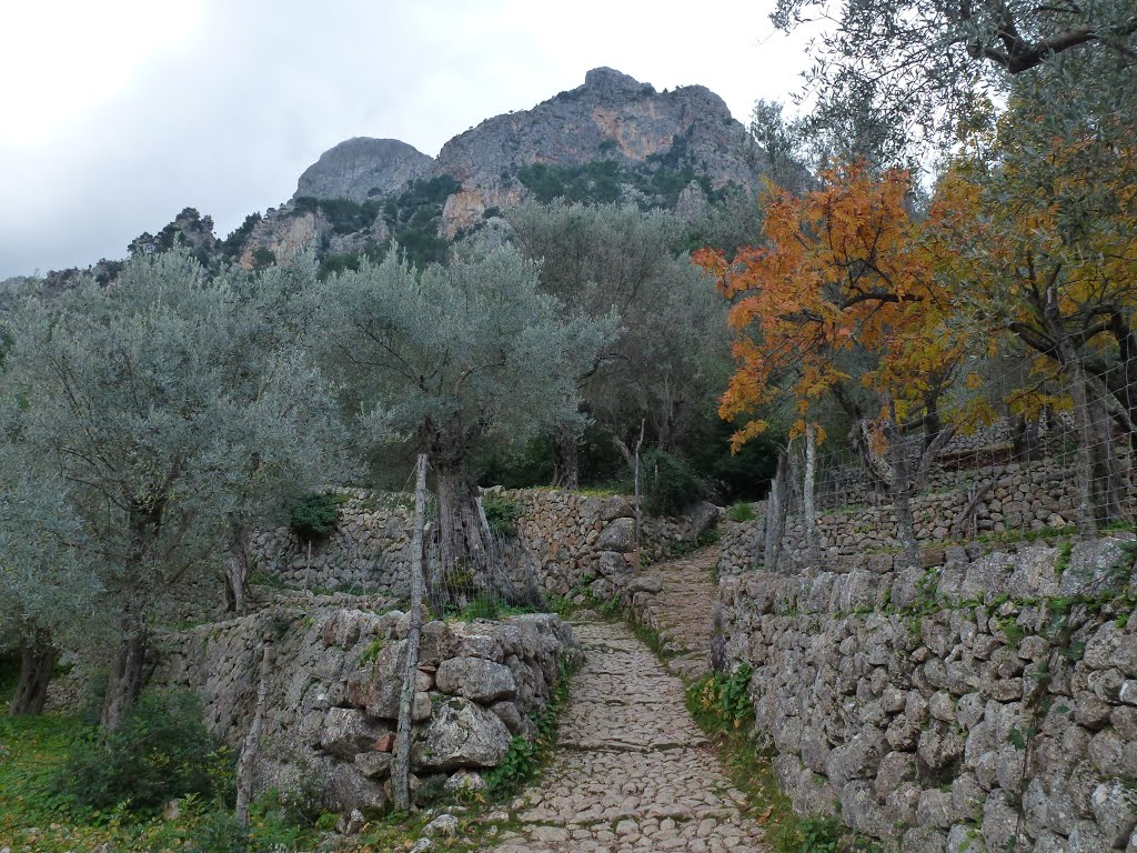 Camino del Barranco de Biniaraix by txema-122