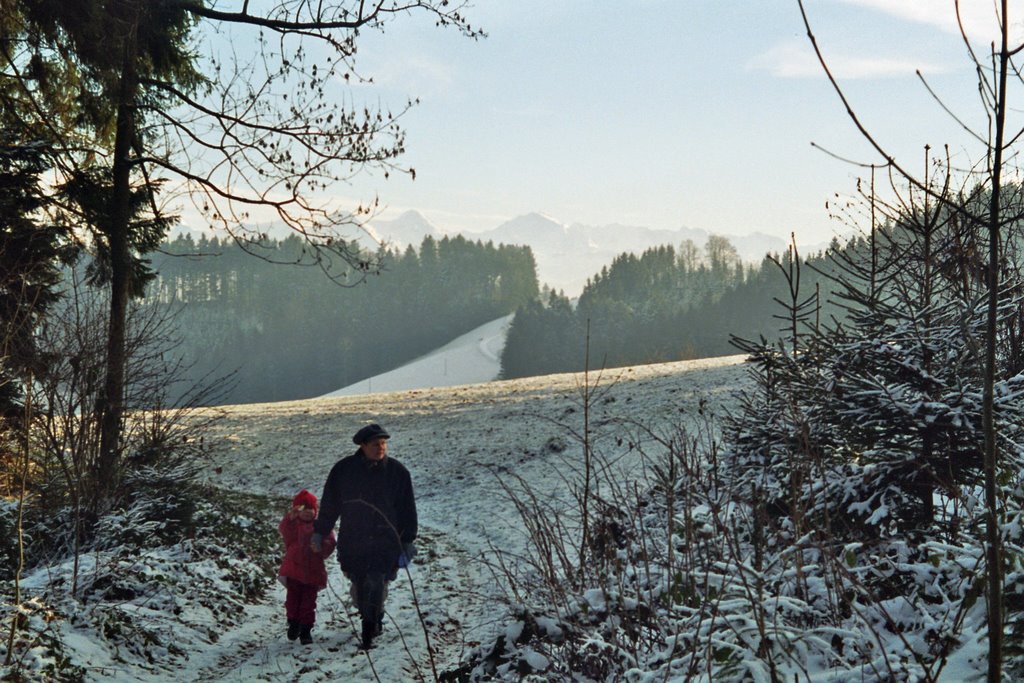 Nearby "Aetzrütti" / Snow walking by Alfred Mueller