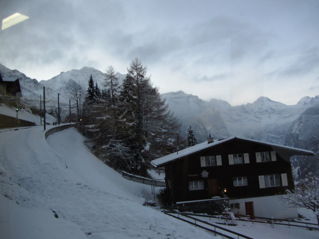 Wengen by teodor cardei 1