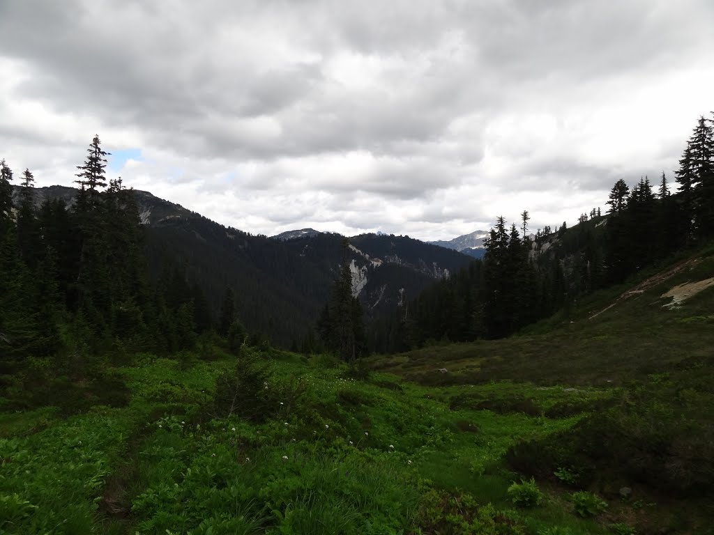 Looking toward Copper Ridge and Chilliwack Basin from Hannegan Pass by Derek Meek