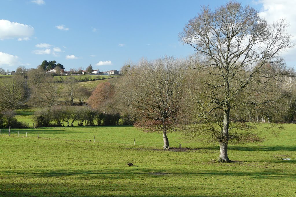 La Bruffière, paysage rive gauche de la Sèvre Nantaise by tofil44