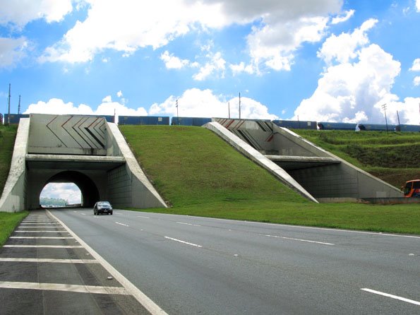 Túnel sob estrada de ferro - março/2008 by Eduardo M. P. Dantas