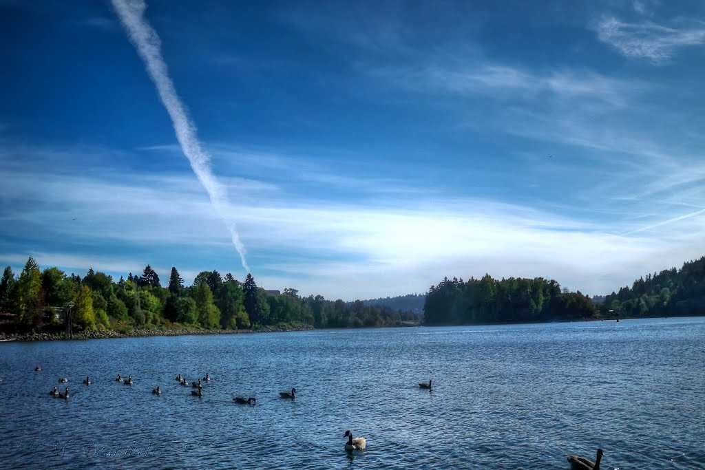 "Vive eternamente quien vive en el presente* Eternal life who lives in the present"(Ludwig Wittgenstein),Milwaukie.Oregon by ╰☆❤JossetteD❤☆╮