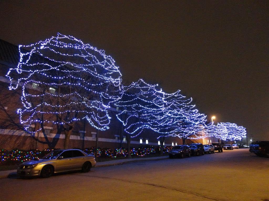 Christmas lights in trees, Bolivar street, Jefferson City, MO by marnox1