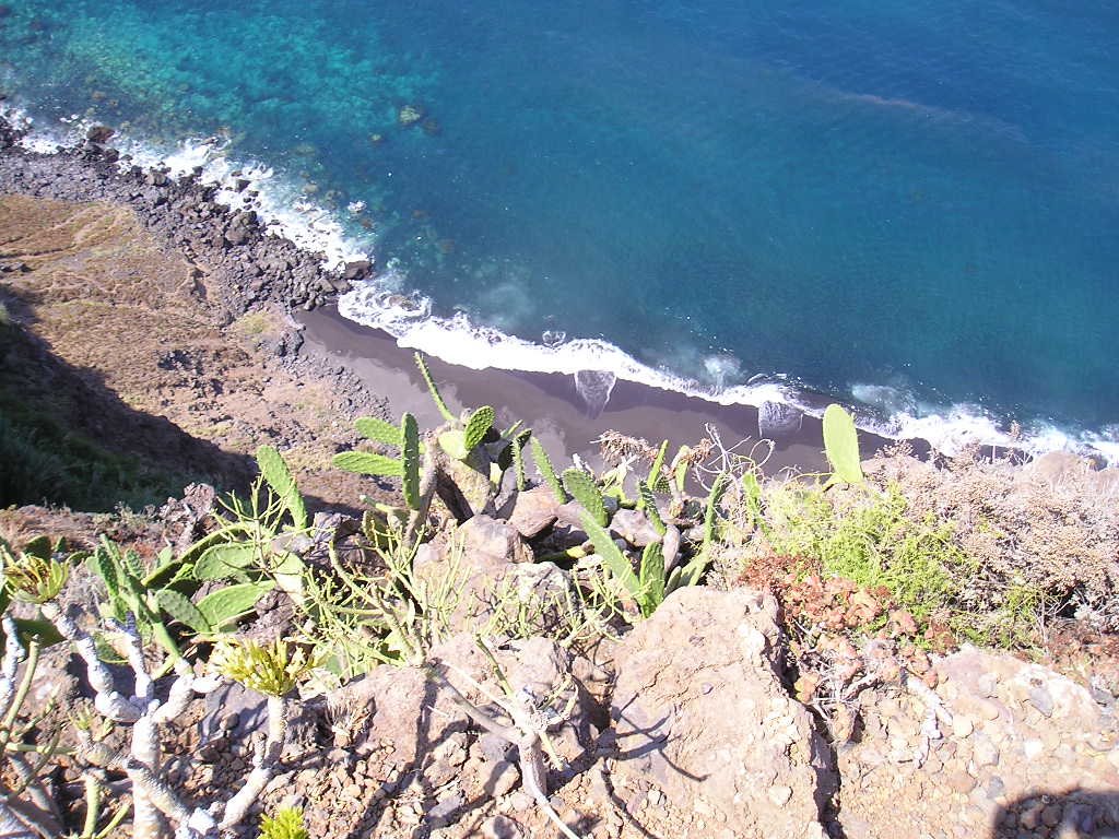 Cactus y Arenal (II) by Guillermo J. Cruz Af…