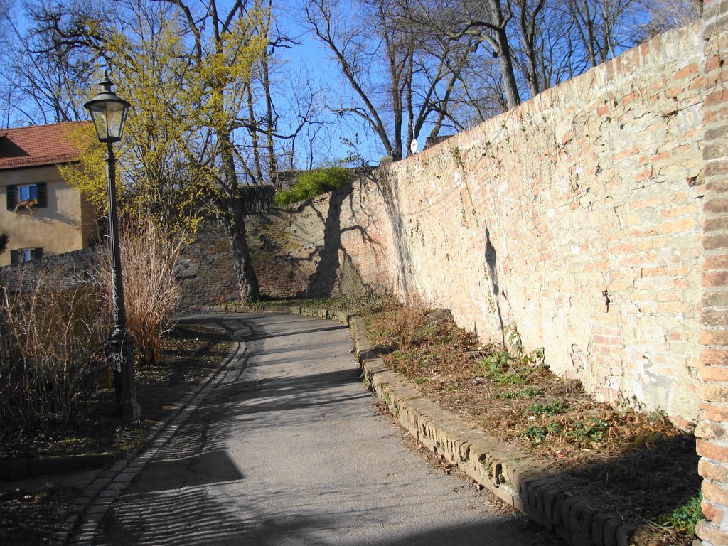 Stadtmauer am Lueginsland by WCB