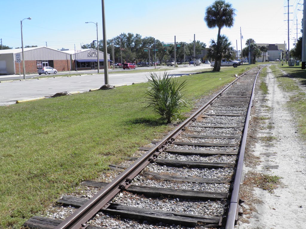 Railroad tracks Eustis FL by Boyd T