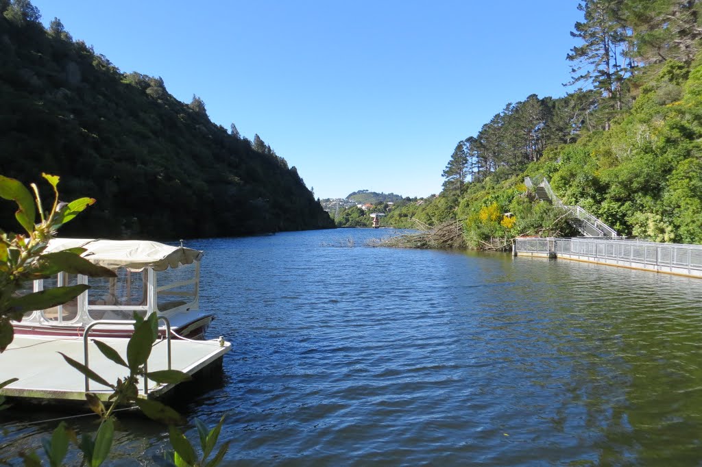 Karori Wildlife Sanctuary by Sue Fox