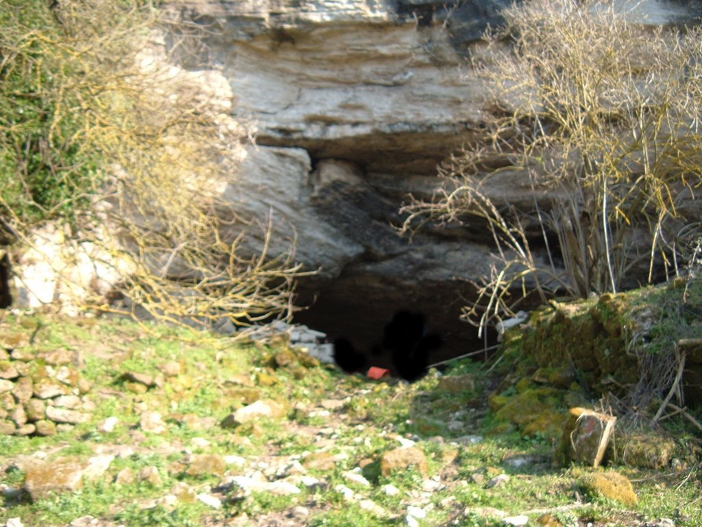 Semestene Grotta andròliga - Sardinia cave by Luigi Tedde (www.jertix.org) - Magomadas - Sa