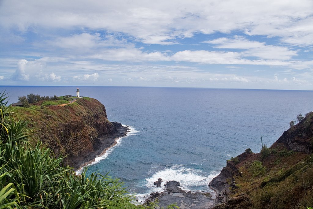 Kilauea Point Light by cj5