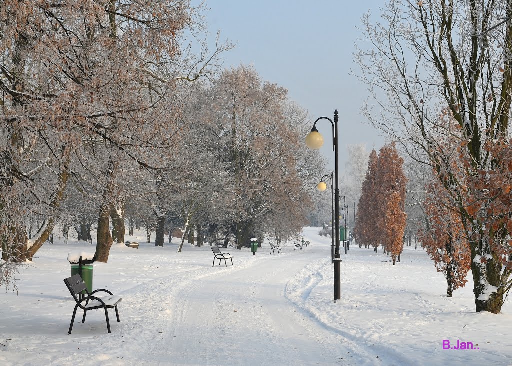 Beautiful winter day in the Citadel Park by BernardJ47