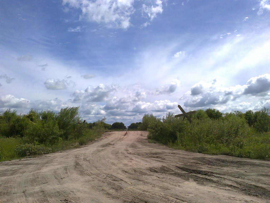 SALIENDO DE NAPALPÍ HACIA LA RUTA - NAPALPÍ, CHACO (ARGENTINA) by Félix83