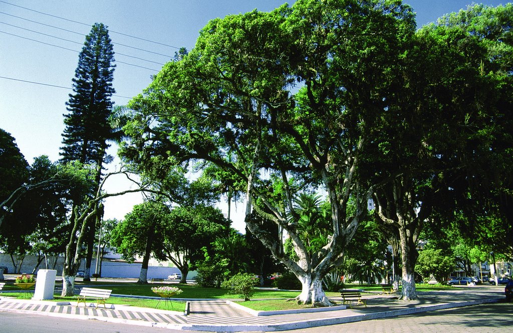 Praça Vidal Ramos by Ivan Oliveira