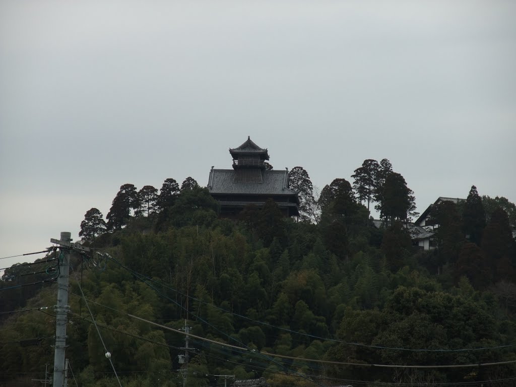 綾城の遠景 by senri_gusuku