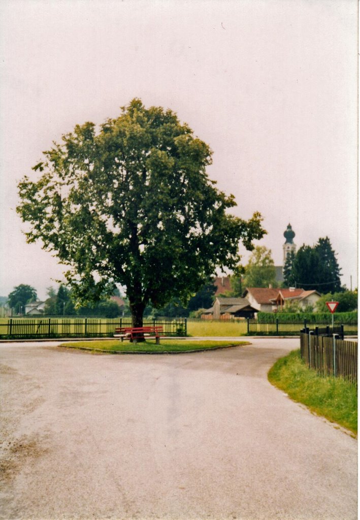 St. Georgen im Attergau by ©schw@bendude