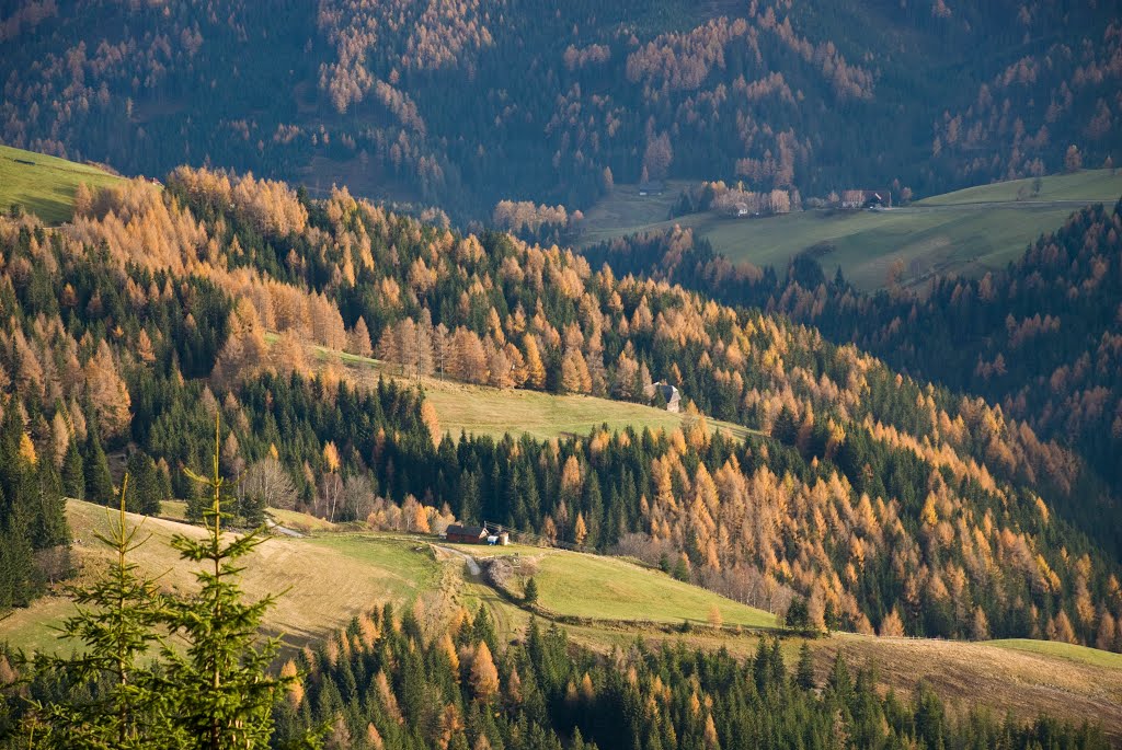 Herbstliche Lärchen bei St.Anna by kalerch