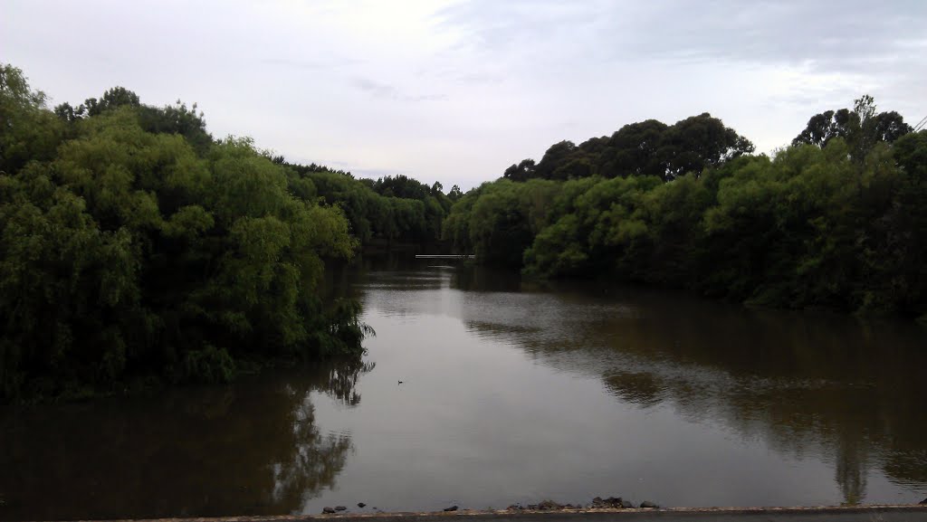 Sullivans Creek after Rain by 亚布の微笑