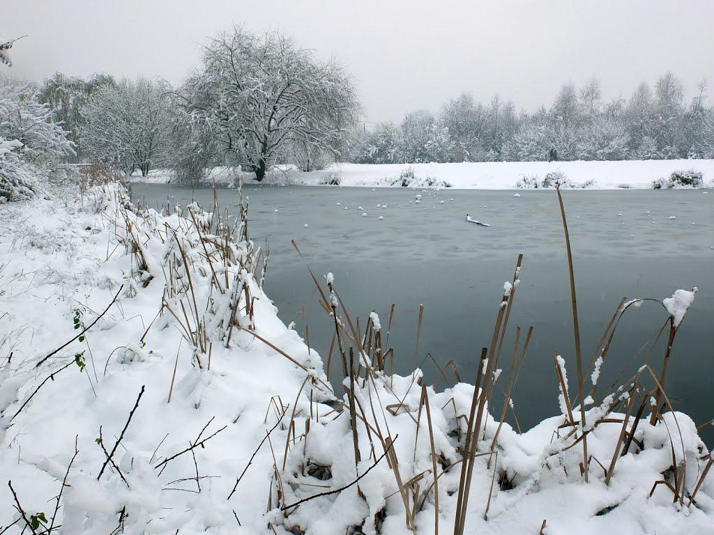 Candida neve al Parco Nord by ANDREA GERVASONI